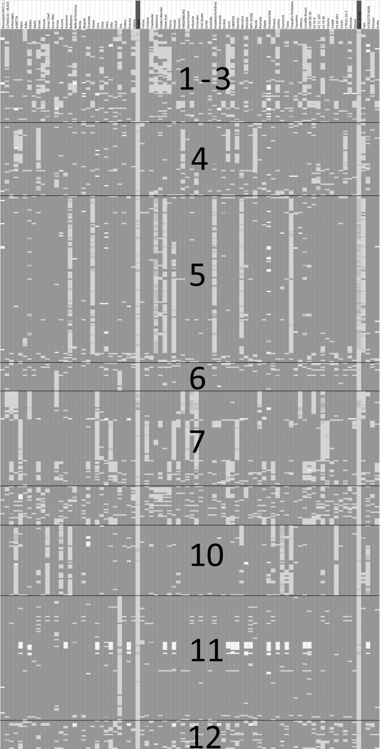 Fig. 3