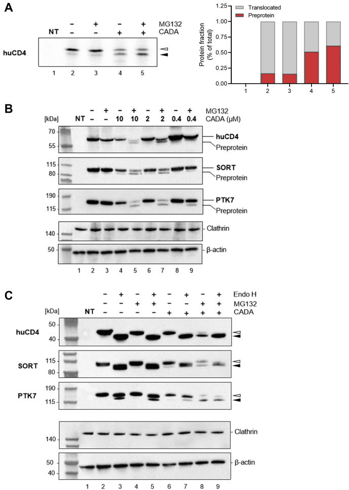 Fig. 4