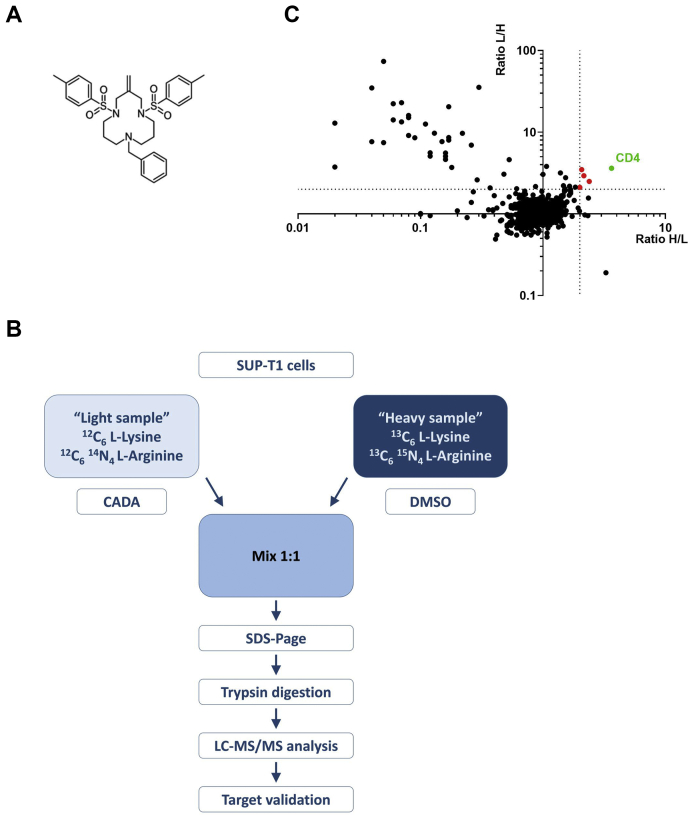 Fig. 1