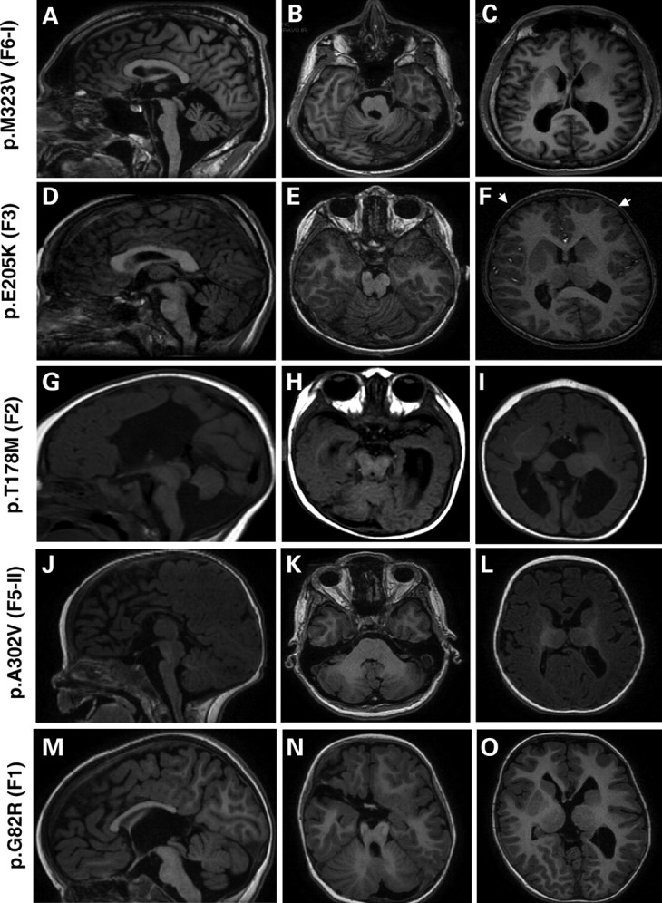 Figure 2.