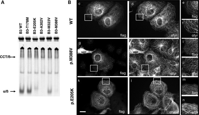 Figure 6.