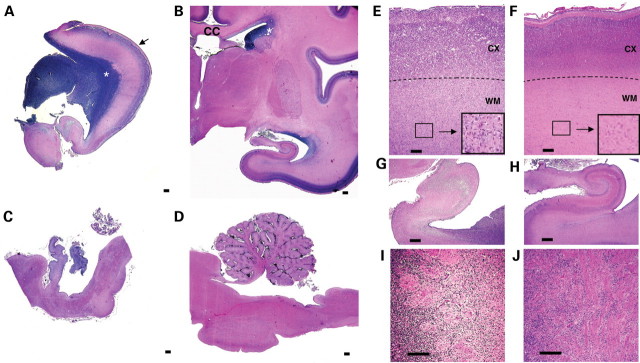 Figure 4.