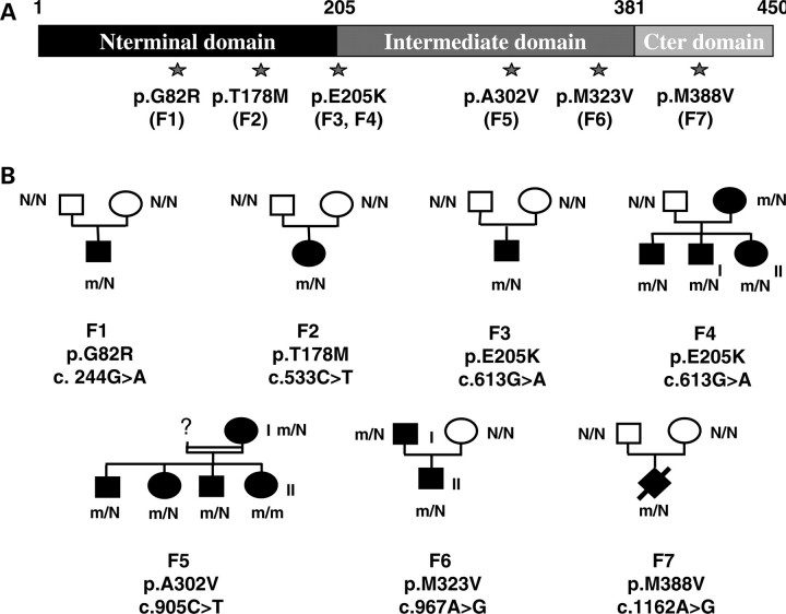 Figure 1.