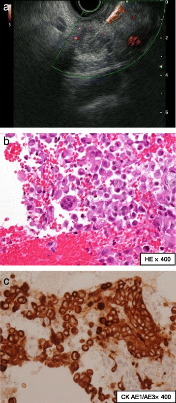 Fig. 2