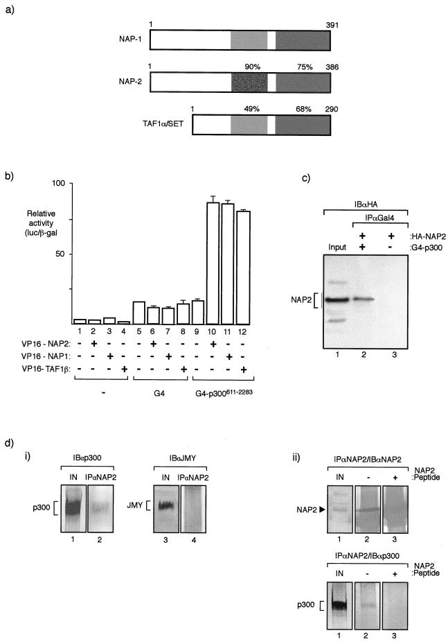 FIG. 1