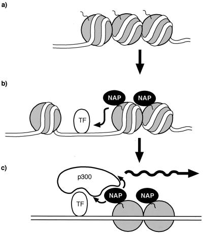 FIG. 7