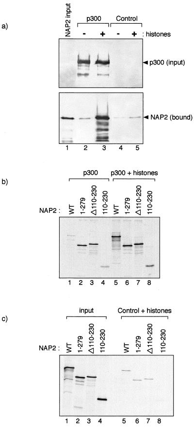 FIG. 6