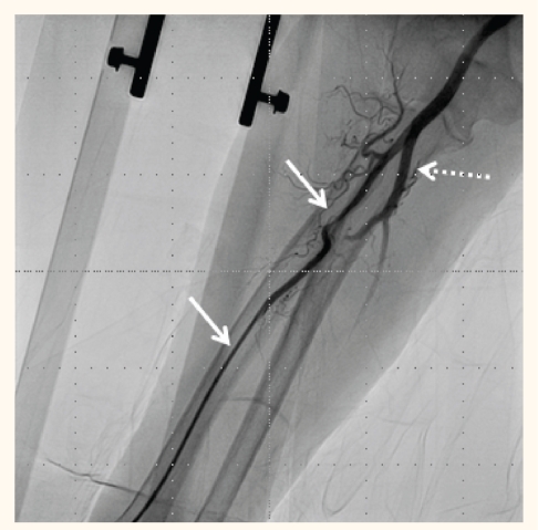 Figure 1: