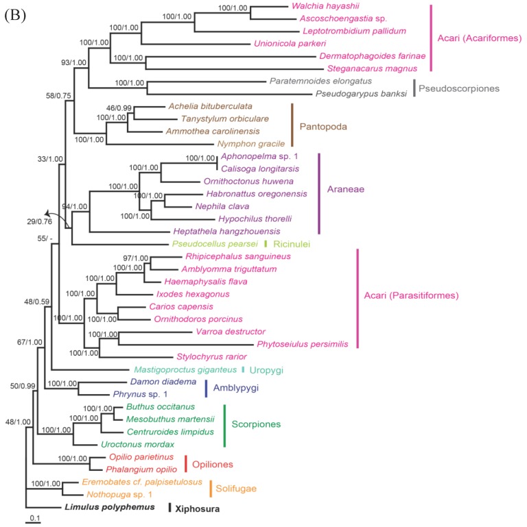 Fig 4