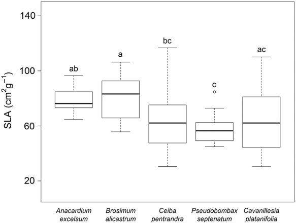 Figure 5.