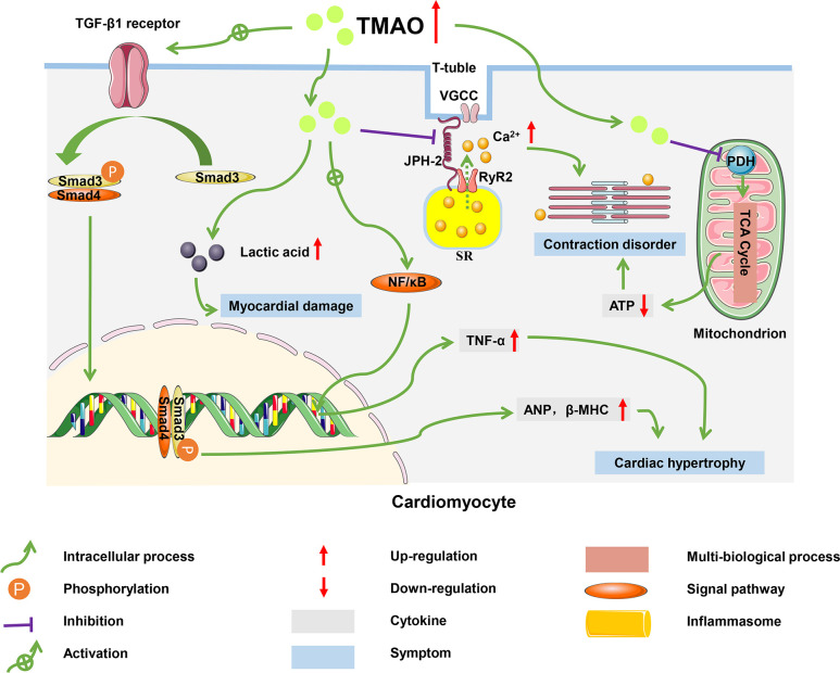 Figure 4