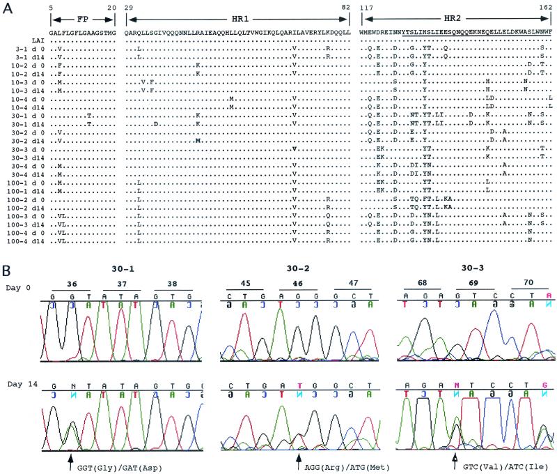 FIG. 2.