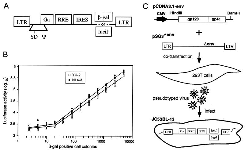 FIG. 1.