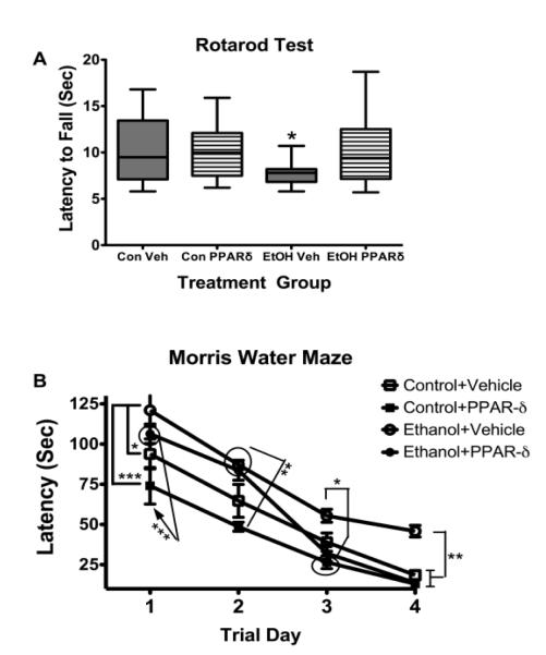 FIG. 2A & 2B