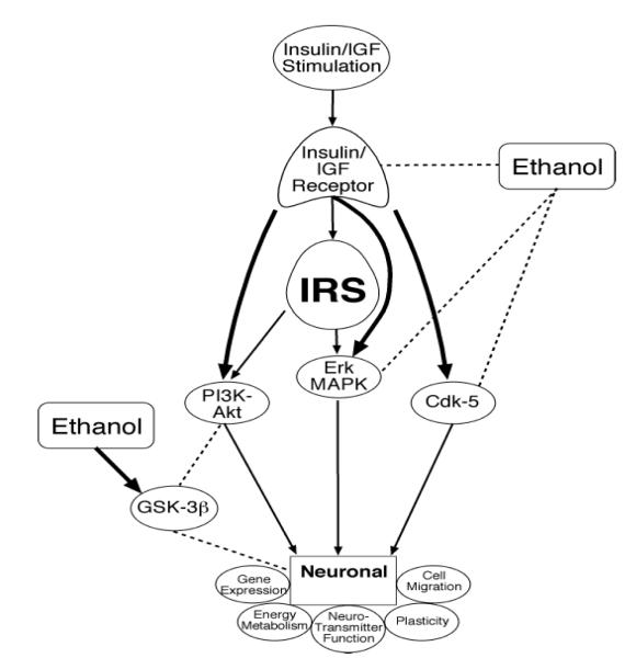 FIG. 1