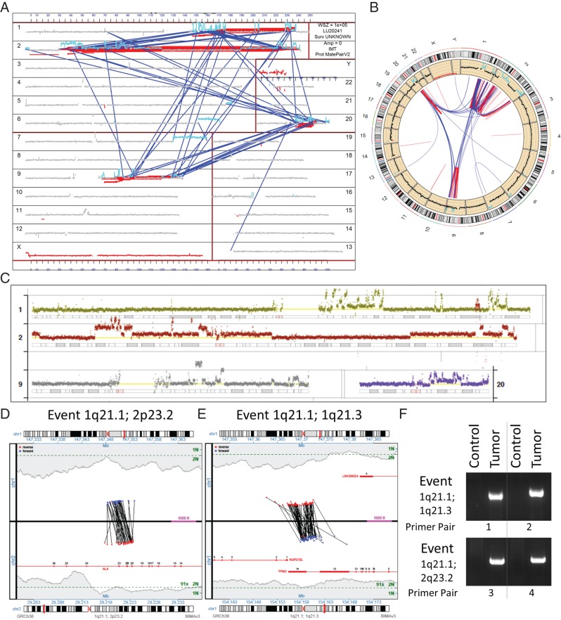 Figure 2.