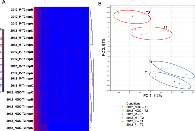 Fig. 7