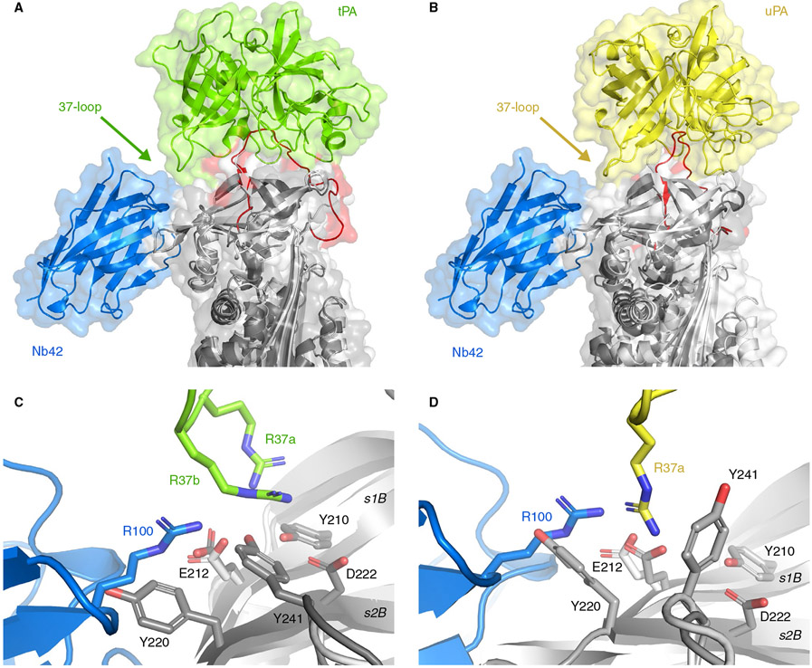 FIGURE 3