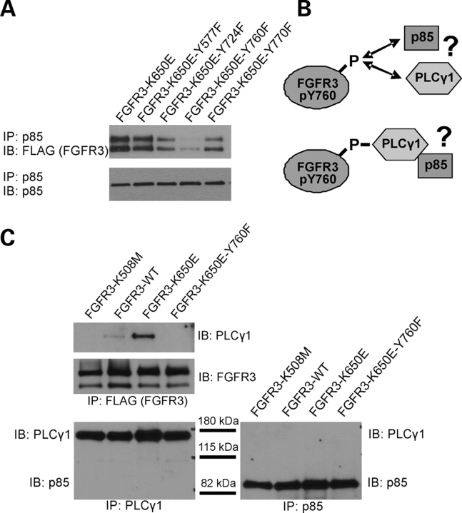 Figure 3.