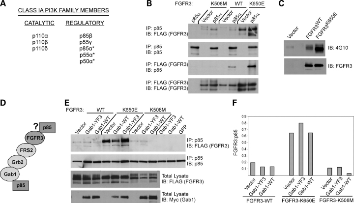 Figure 2.