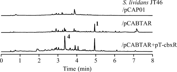 Figure 4