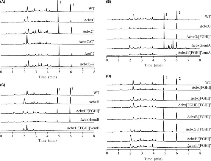 Figure 5