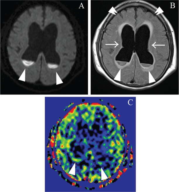 Fig. 5.