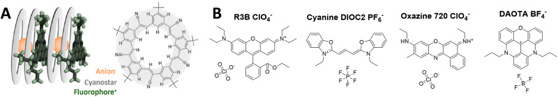 Fig. 9