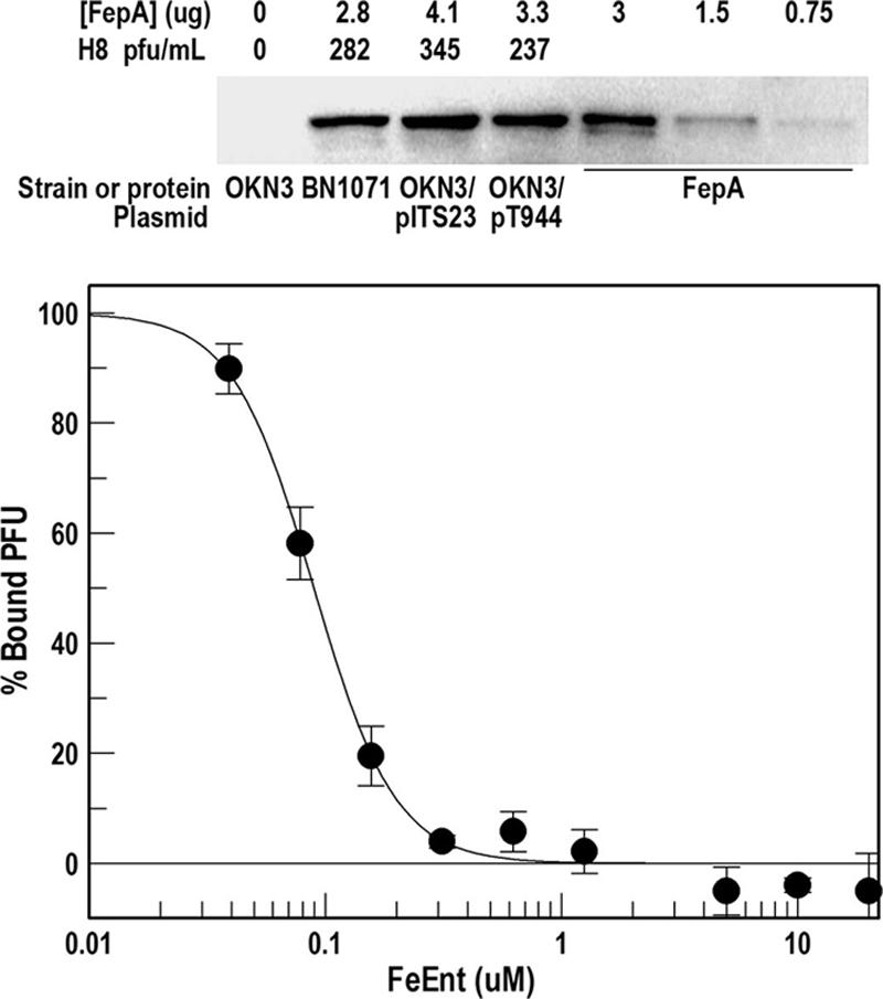 FIG. 2.