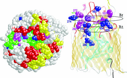 FIG. 3.