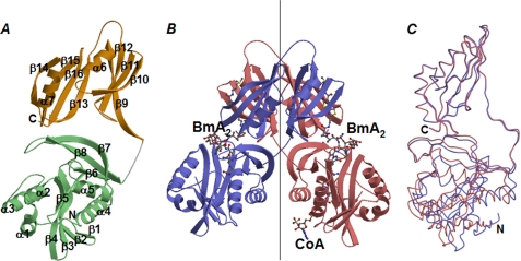 FIGURE 3.