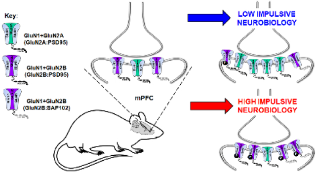 graphic file with name nihms-1534979-f0001.jpg