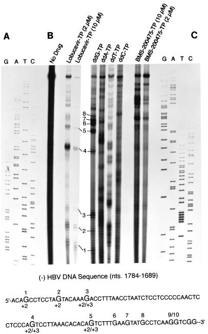 FIG. 7