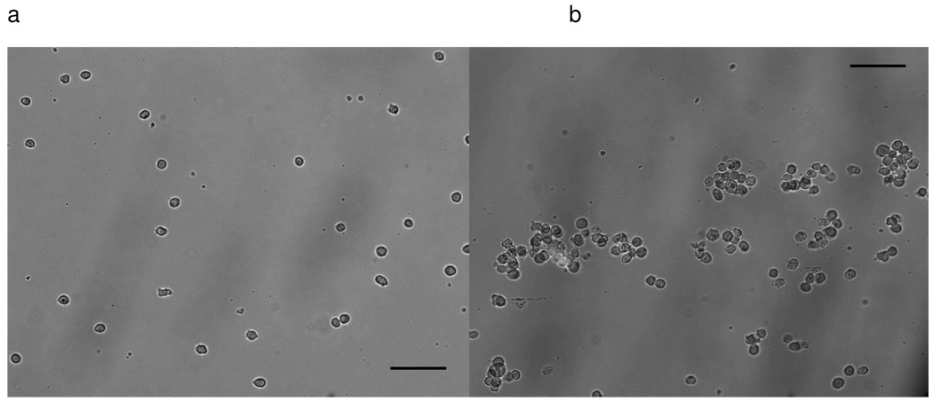 Fig.2