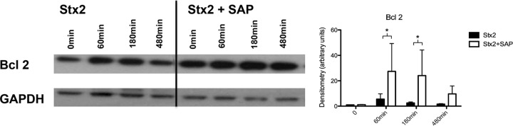 FIG 6