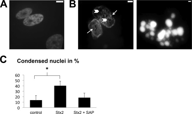 FIG 5