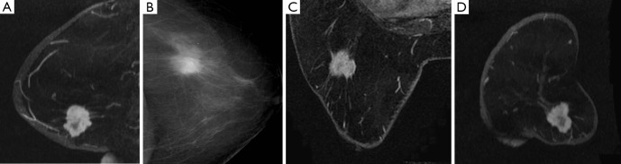 Figure 16