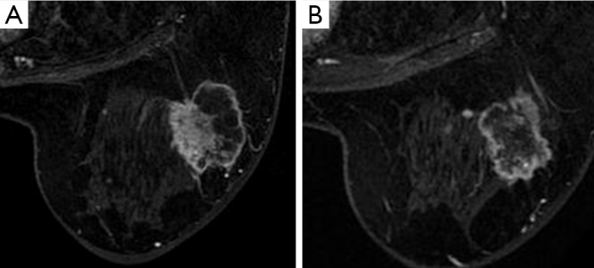 Figure 40