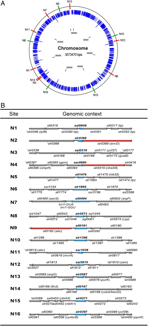 Figure 1.