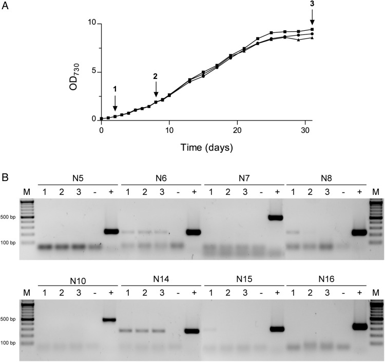 Figure 2.