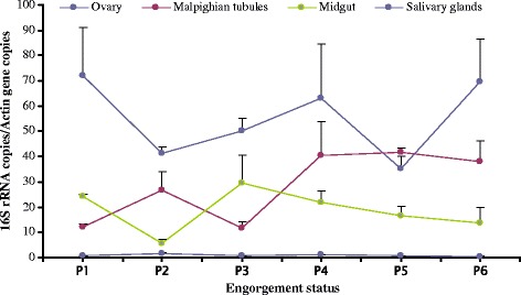 Fig. 6