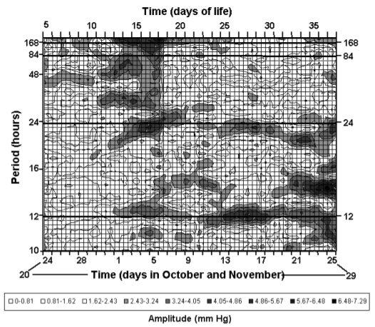 Figure 27