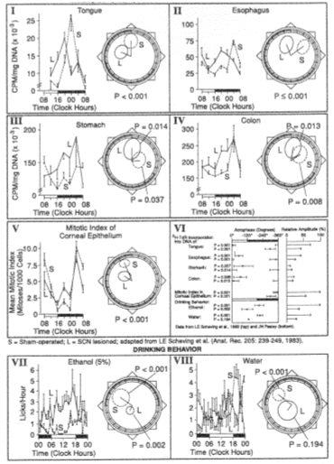 Figure 35