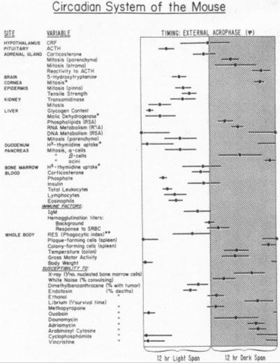 Figure 22