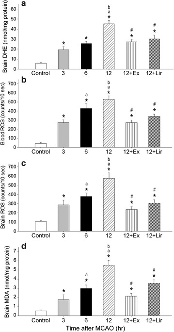 Fig. 3