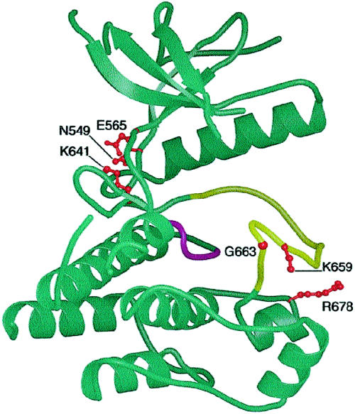 Figure  5