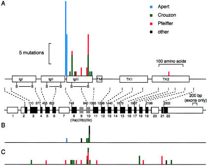 Figure  4