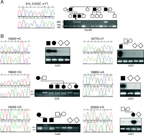 Figure  1