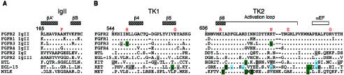 Figure  2