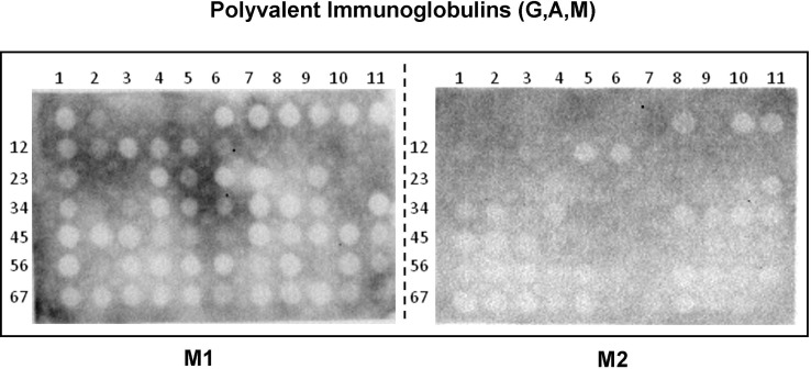 Supplementary Fig. S1